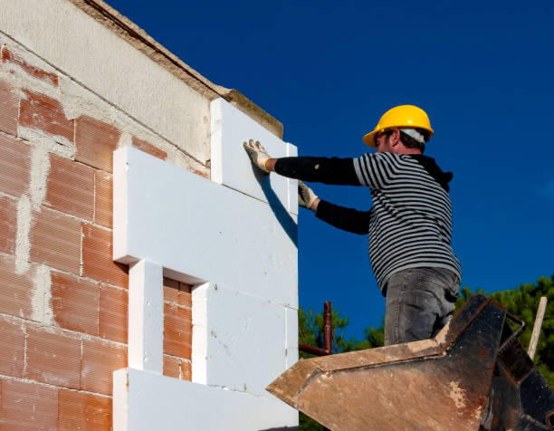 Best Energy-efficient Insulation  in Sullivan City, TX