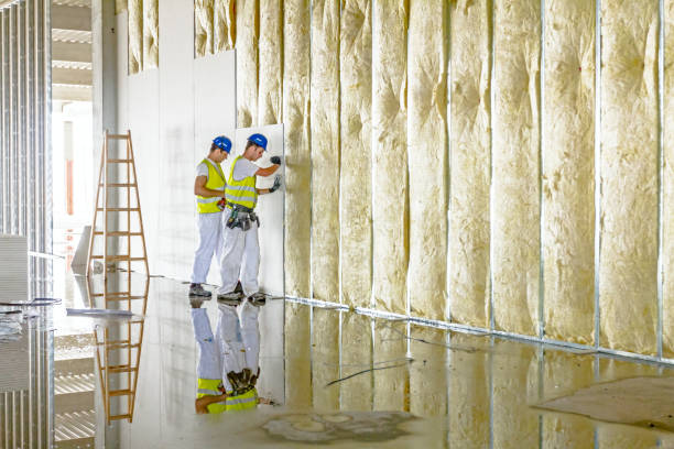 Professional Insulation Contractor in Sullivan City, TX